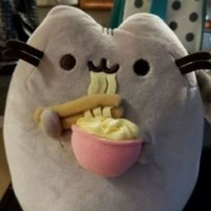 pusheen eating ramen plush